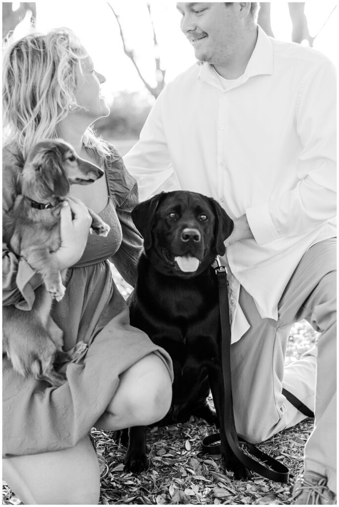 couple with their dogs at Fort Fisher engagement session