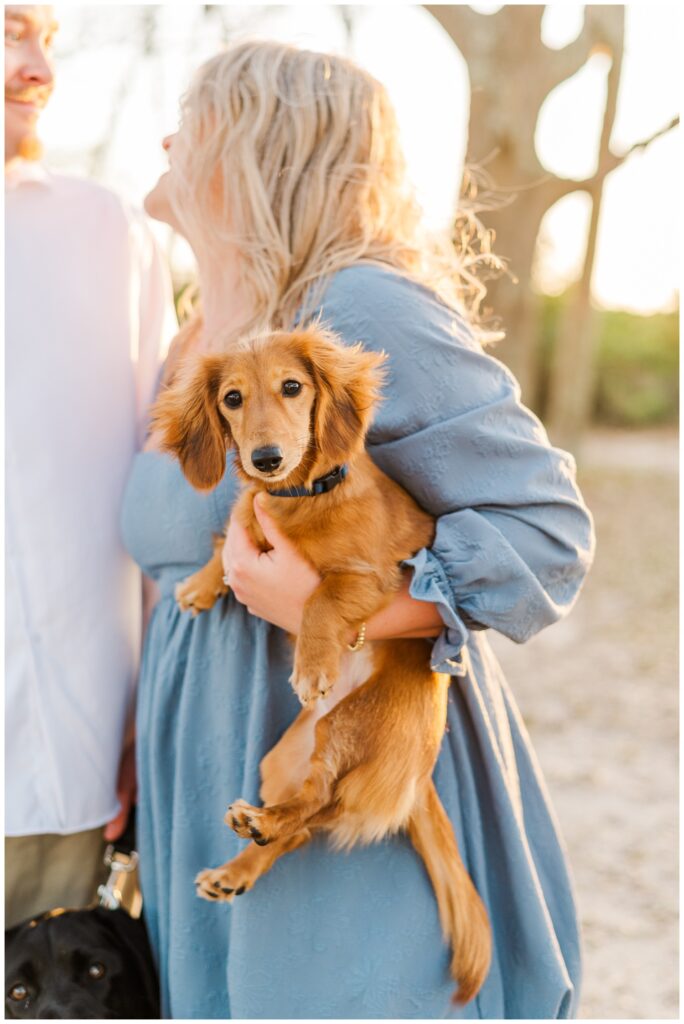 puppies at beach engagement session at Fort Fisher, NC