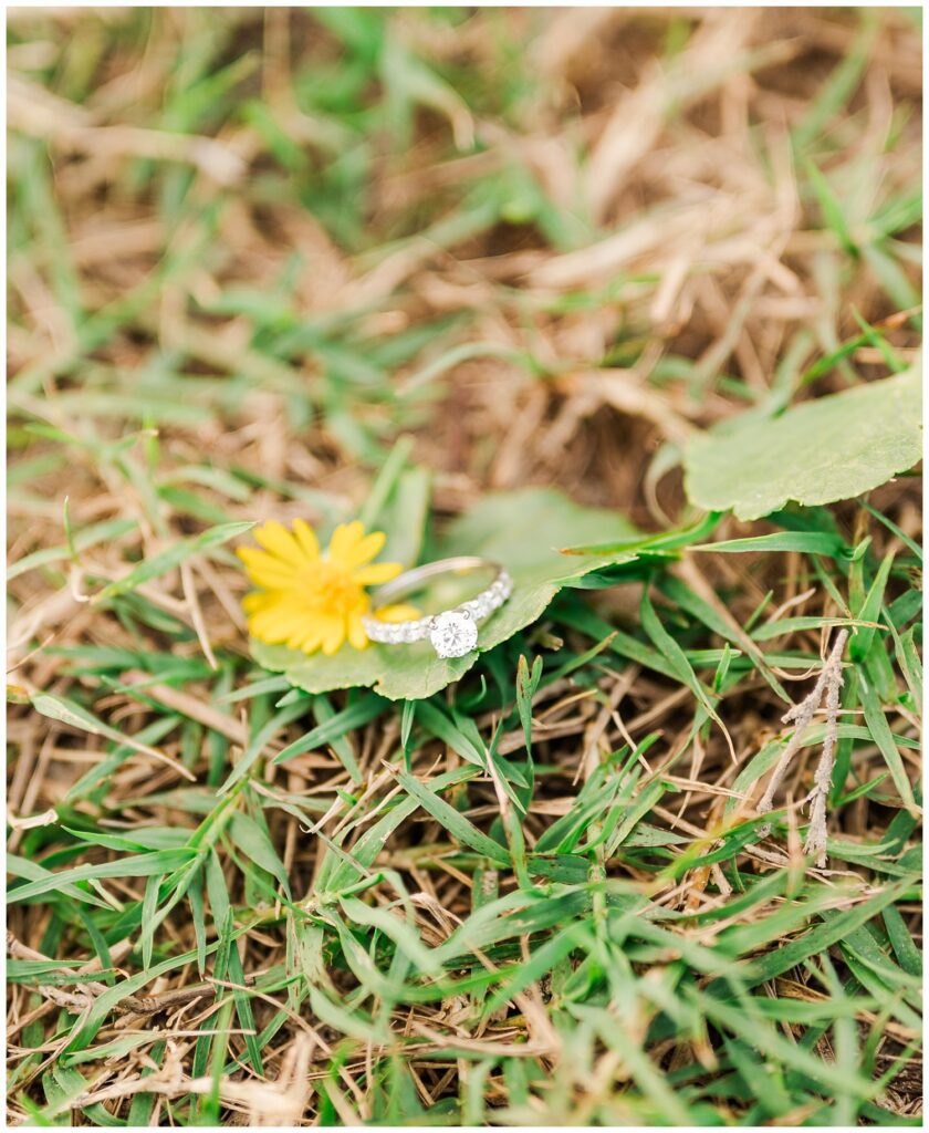 engagement ring sitting on a green leaf among the grass and a yellow flower